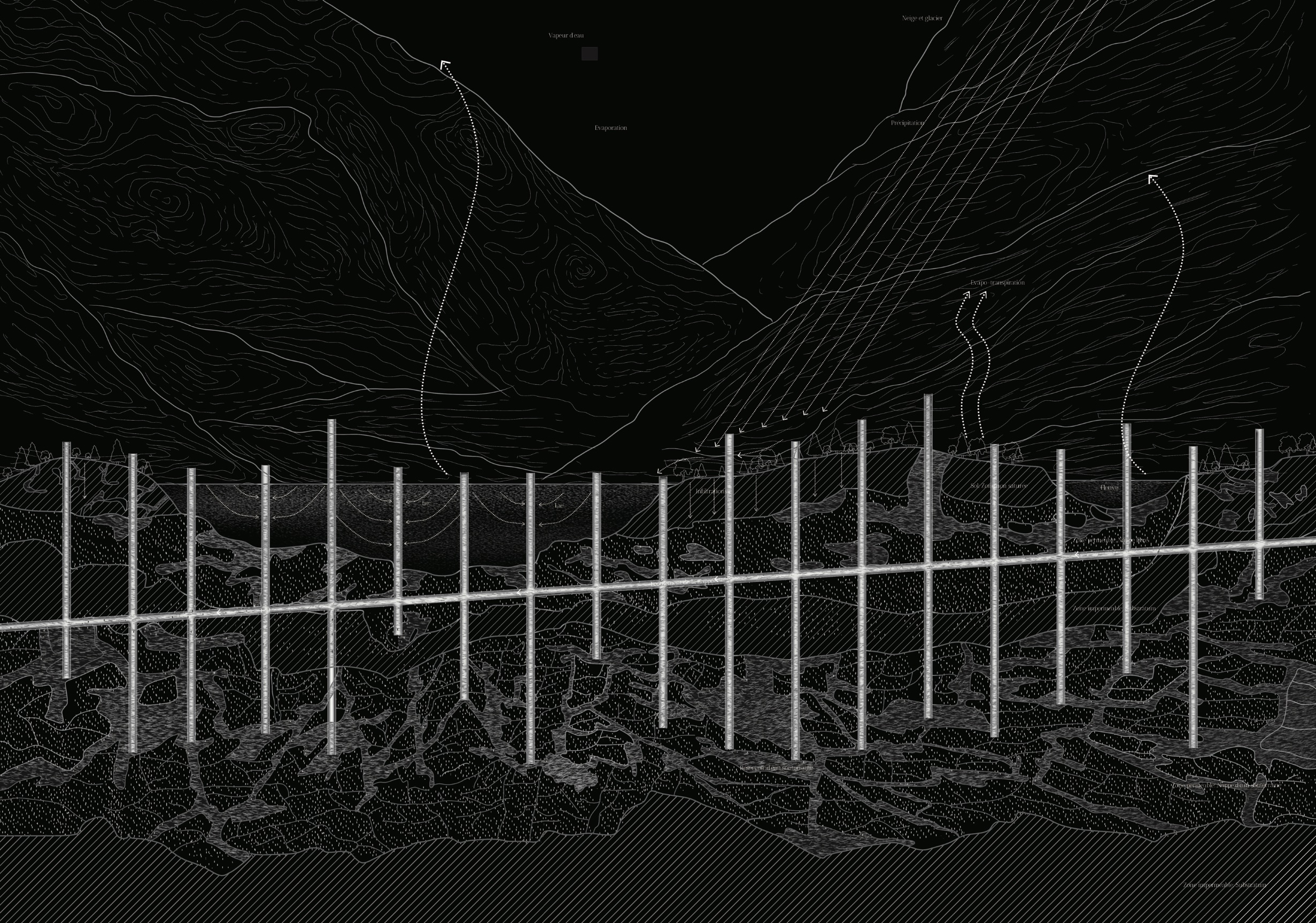 Noah's Ark of the Post-Anthropocene