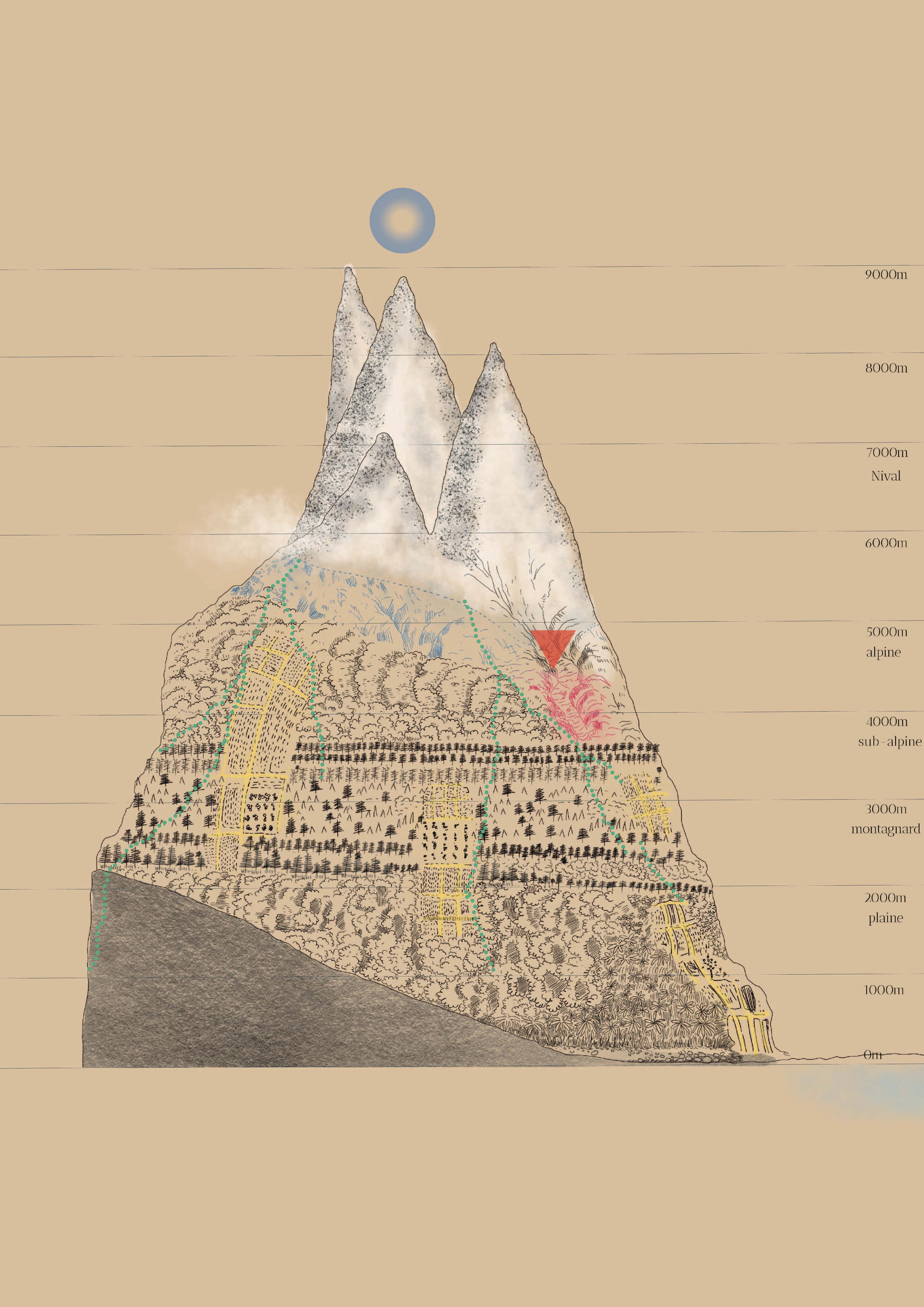 Noah's Ark of the Post-Anthropocene