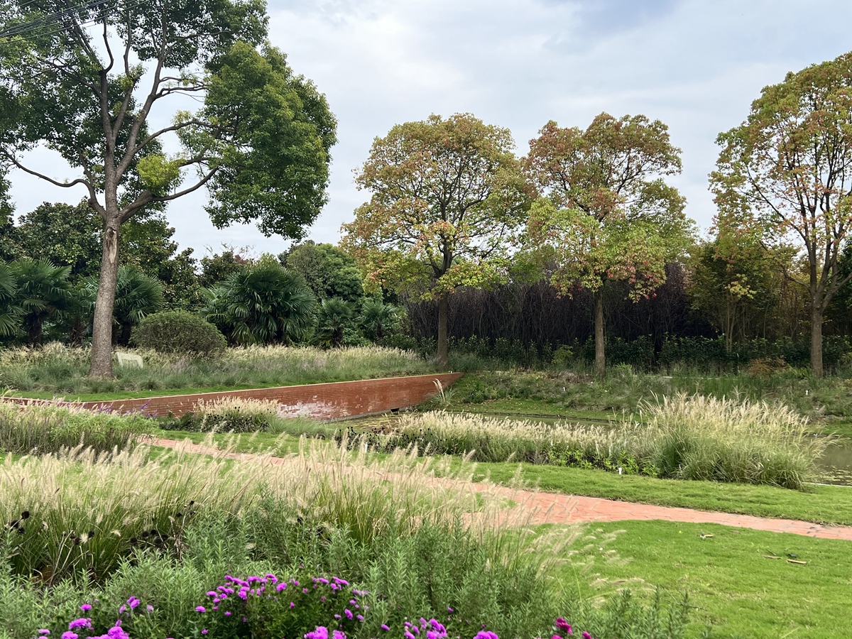 Country garden 
