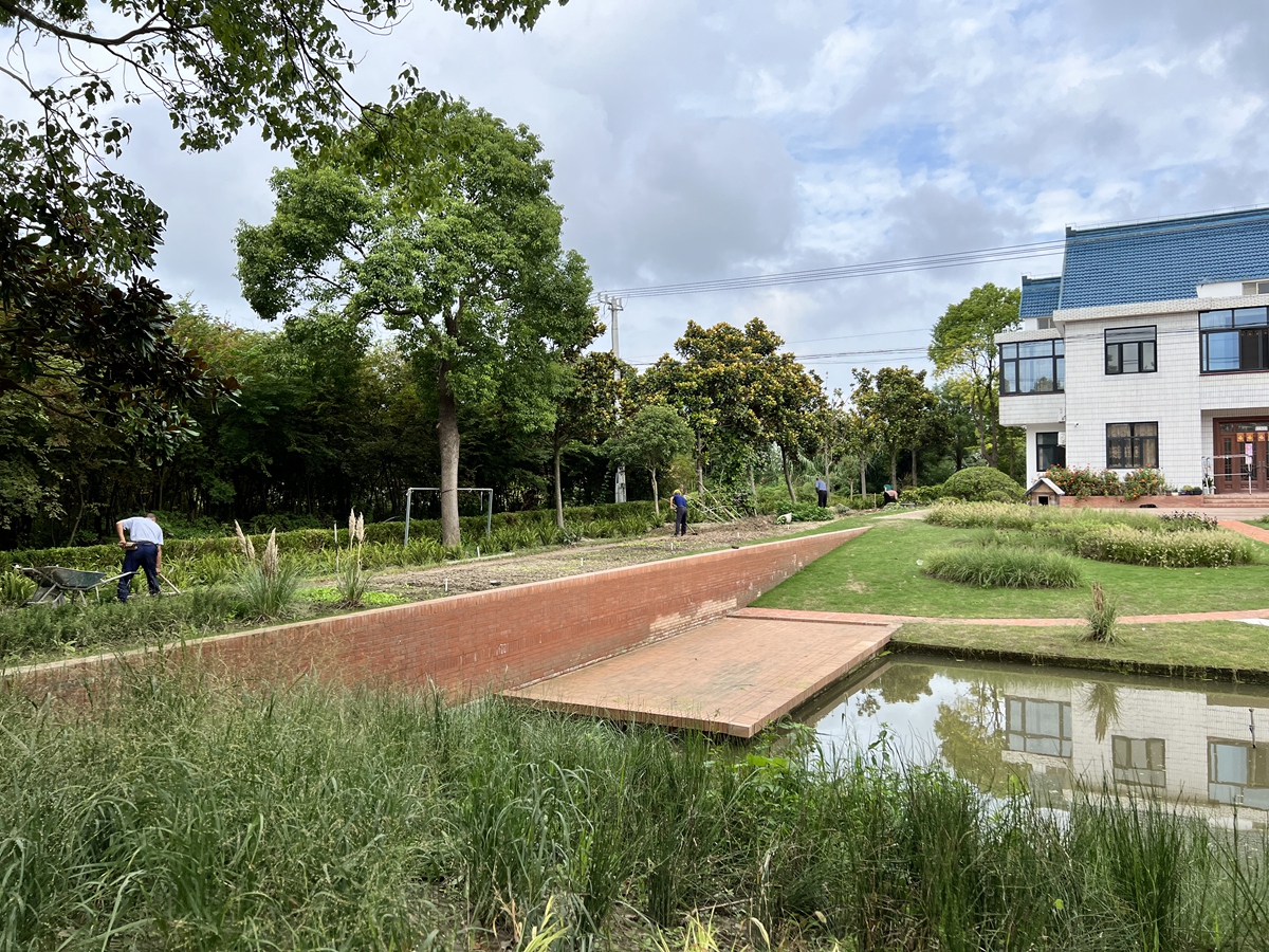 Country garden 