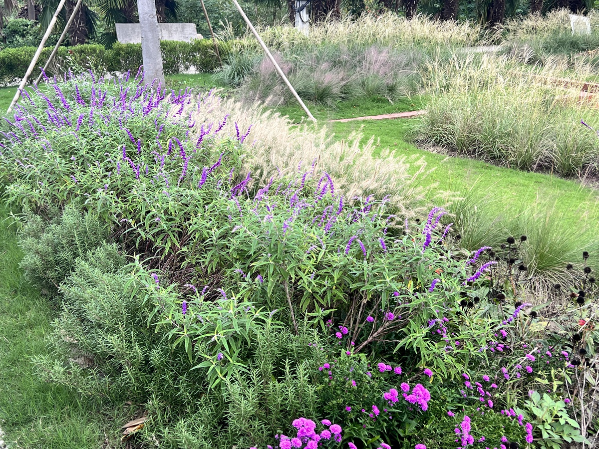 Country garden 