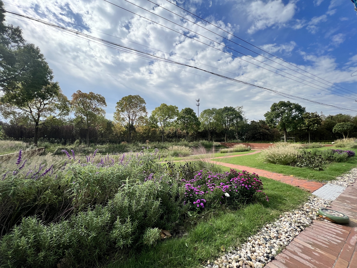Country garden 