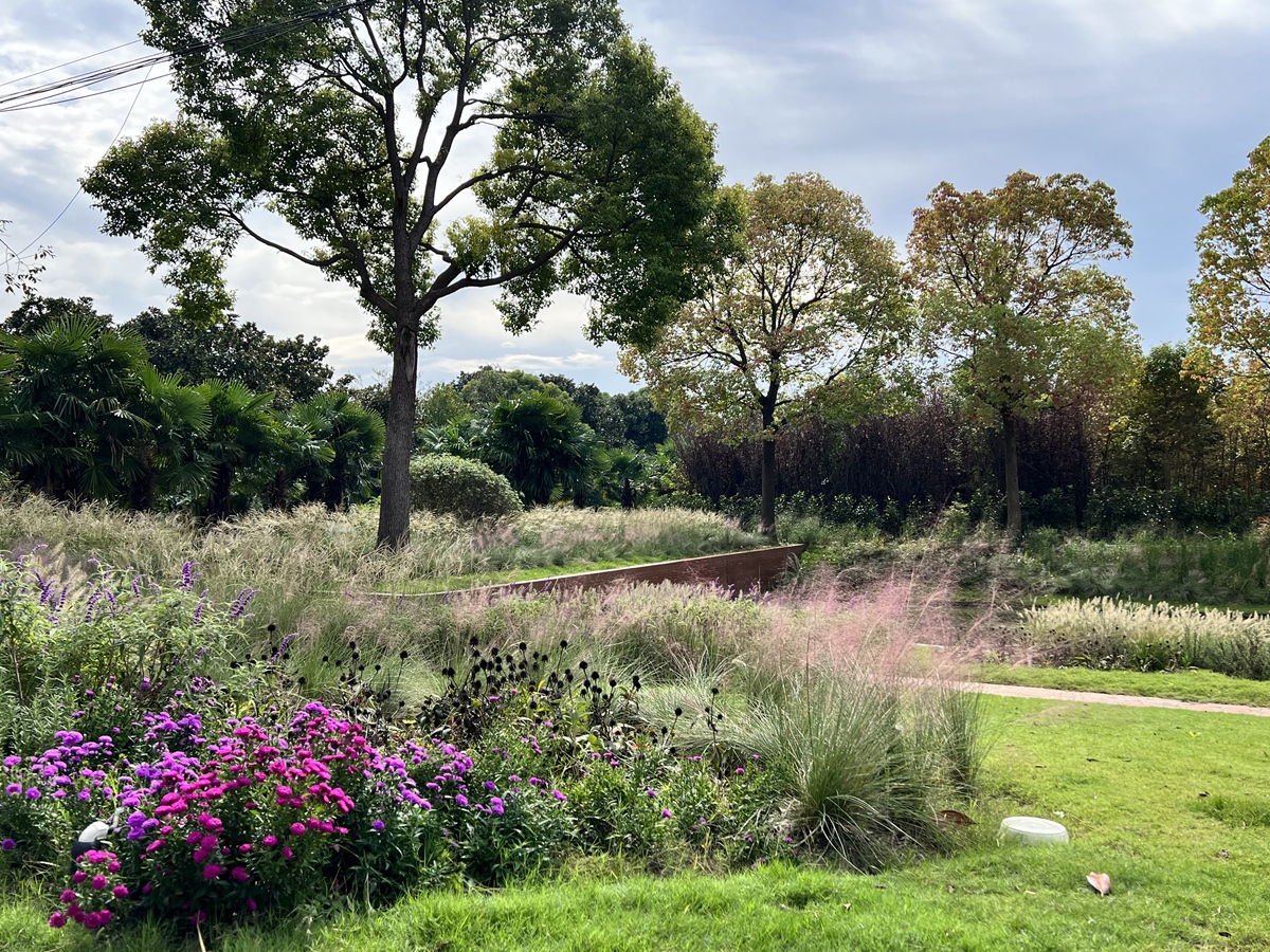 Country garden 