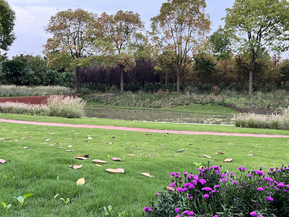 Country garden 
