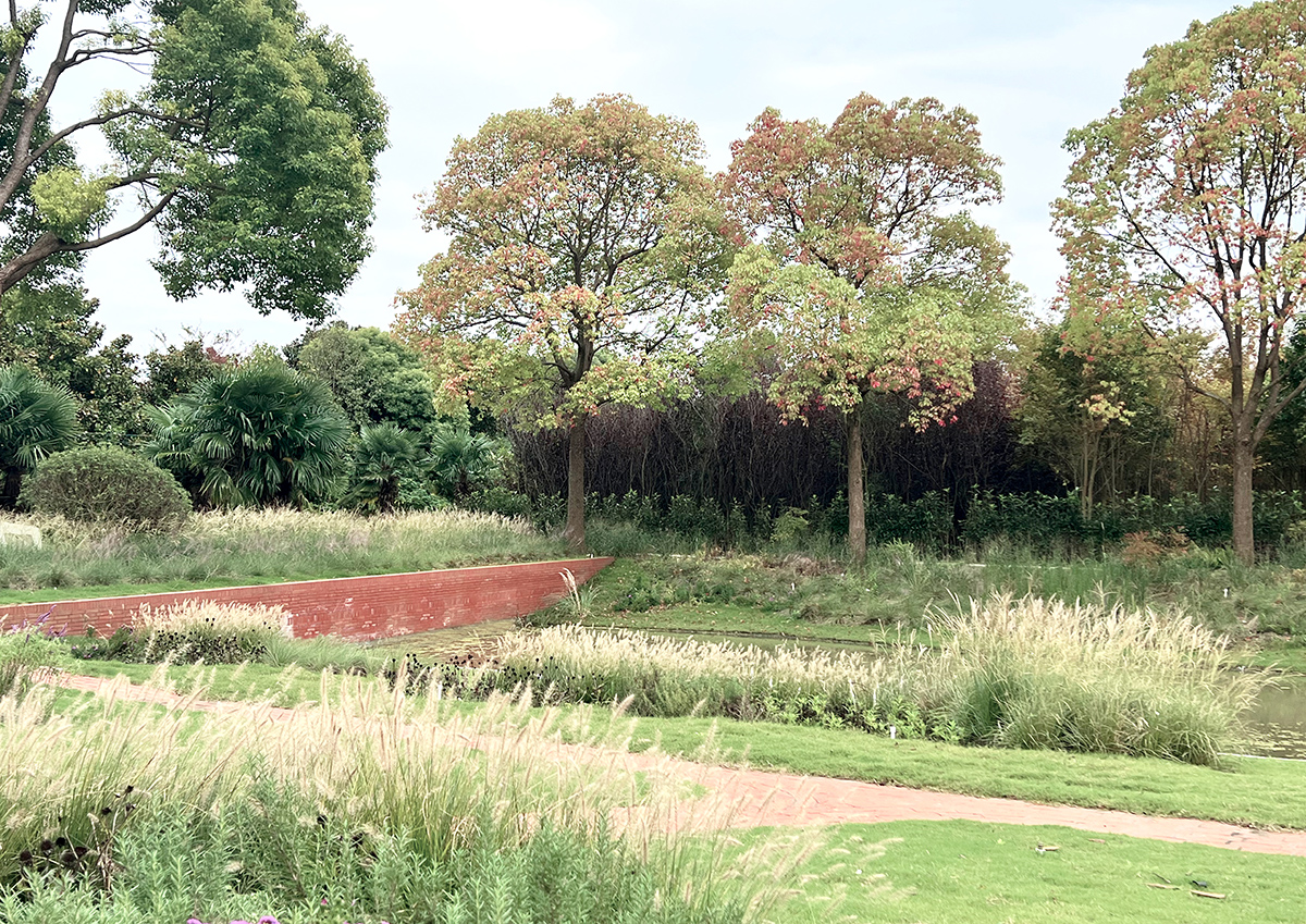 Country garden 